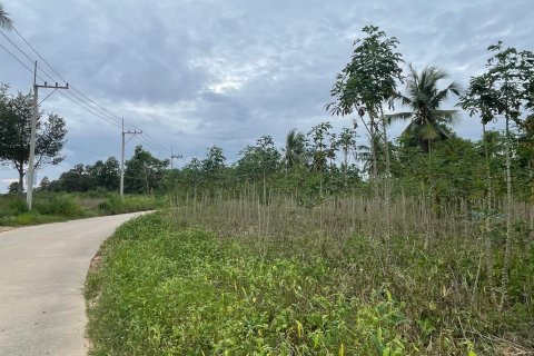 Земельный участок в Паттайе, Таиланд 43200м2  № 147677 - фото 1