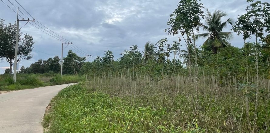 Земельный участок в Паттайе, Таиланд 43200м2  № 147677