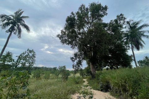 Земельный участок в Паттайе, Таиланд 43200м2  № 147677 - фото 8