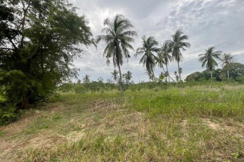 Земельный участок в Паттайе, Таиланд 43200м2  № 147677 - фото 5