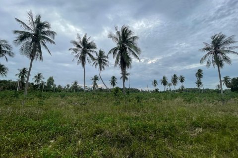 Земельный участок в Паттайе, Таиланд 43200м2  № 147677 - фото 6