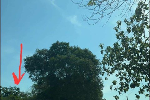 Земельный участок в Хуа Хине, Таиланд 6400м2  № 147676 - фото 5