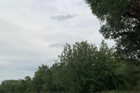 Земельный участок в Хуа Хине, Таиланд 6400м2  № 147676 - фото 2