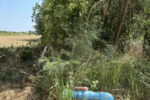 Земельный участок в Хуа Хине, Таиланд 6400м2  № 147676 - фото 4