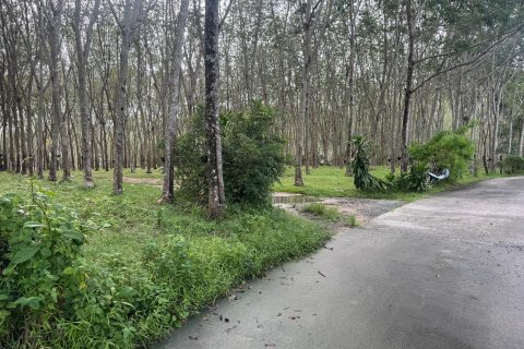 Земельный участок в Пхукете, Таиланд 11200м2 № 139701 - фото 1