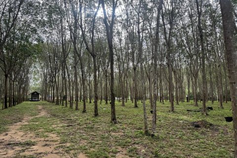 Земельный участок в Пхукете, Таиланд 11200м2 № 139701 - фото 6