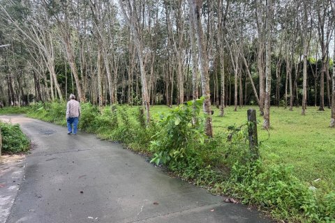 Земельный участок в Пхукете, Таиланд 11200м2 № 139701 - фото 9