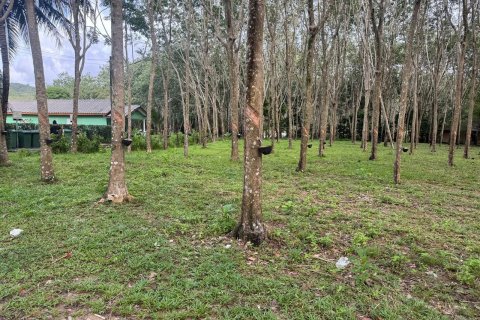 Земельный участок в Пхукете, Таиланд 11200м2 № 139701 - фото 11