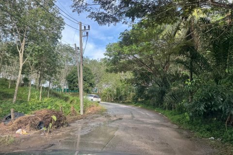 Земельный участок в Пхукете, Таиланд 11200м2 № 139701 - фото 10