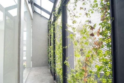 House in Bangkok, Thailand 6 bedrooms № 157474 - photo 28