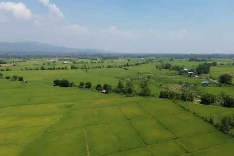Land in Chiang Mai, Thailand № 162787 - photo 11