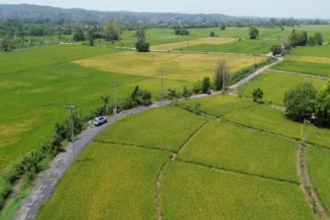 Land in Chiang Mai, Thailand № 162787 - photo 4