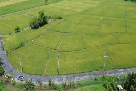 Land in Chiang Mai, Thailand № 162787 - photo 5