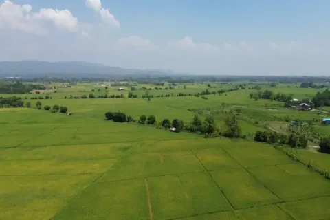 Land in Chiang Mai, Thailand № 162787 - photo 6