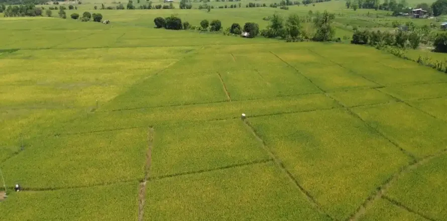 Land in Chiang Mai, Thailand № 162787