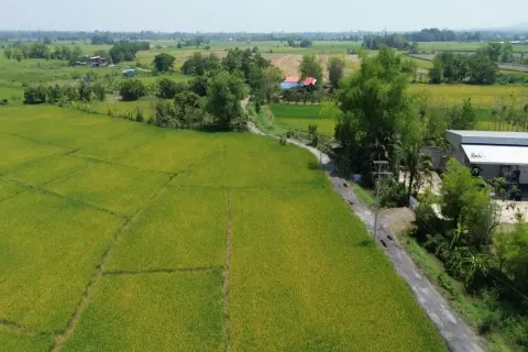 Земельный участок в Чиангмае, Таиланд  № 162787 - фото 3