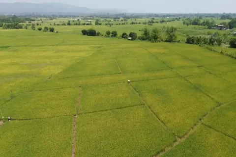 Land in Chiang Mai, Thailand № 162787 - photo 2