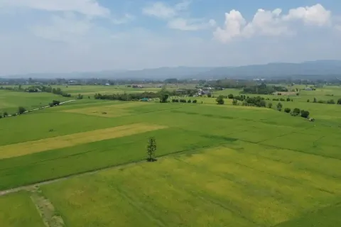 Land in Chiang Mai, Thailand № 162787 - photo 7