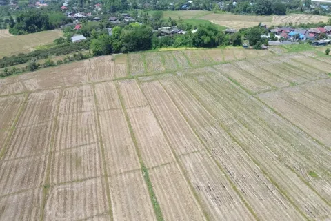 Terrain à Chiang Mai, Thaïlande № 162785 - photo 3