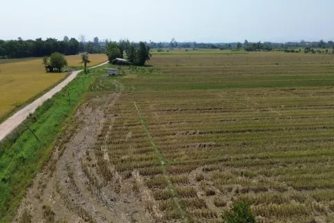 Земельный участок в Чиангмае, Таиланд  № 162785 - фото 7