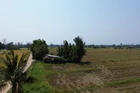 Земельный участок в Чиангмае, Таиланд  № 162785 - фото 5