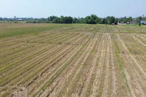 Земельный участок в Чиангмае, Таиланд  № 162785 - фото 6