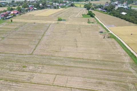 Земельный участок в Чиангмае, Таиланд  № 162785 - фото 4