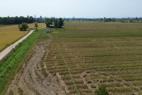 Terrain à Chiang Mai, Thaïlande № 162785 - photo 7