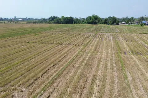 Terrain à Chiang Mai, Thaïlande № 162785 - photo 6