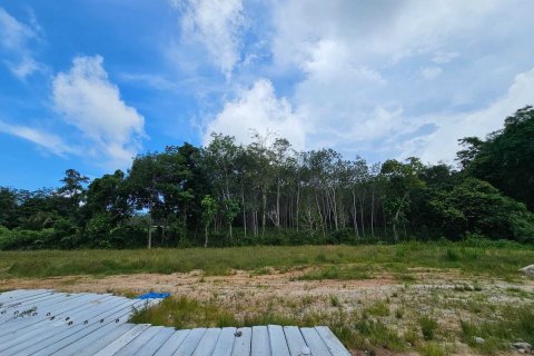 Land in Phuket, Thailand 4382.8 sq.m. № 140531 - photo 7