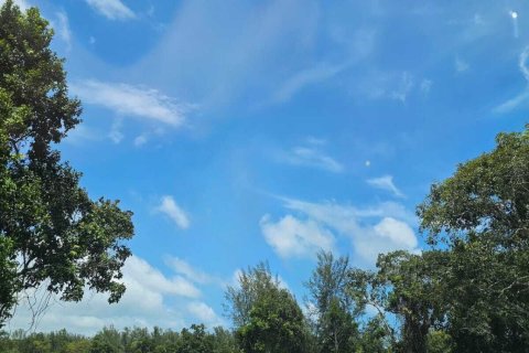 Land in Phuket, Thailand 4382.8 sq.m. № 140531 - photo 9