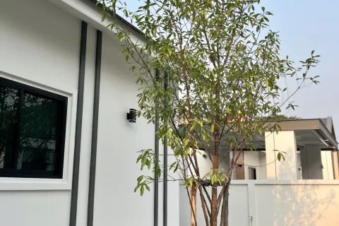 Maison à Chiang Mai, Thaïlande 3 chambres № 173544 - photo 18