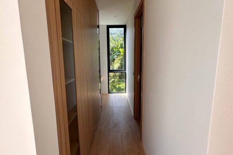 Вилла в Пхукете, Таиланд с 3 спальнями  № 137838 - фото 14