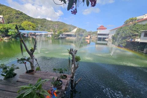 Hôtel à Surat Thani, Thaïlande № 173028 - photo 6