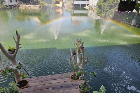 Hôtel à Surat Thani, Thaïlande № 173028 - photo 5