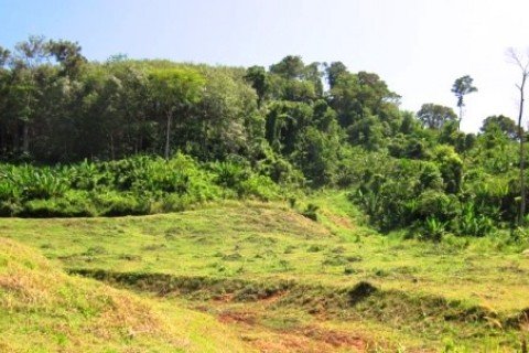 ที่ดินในไม้ขาว, ประเทศไทย 9988 ตร.ม. № 191254 - รูปถ่าย 3