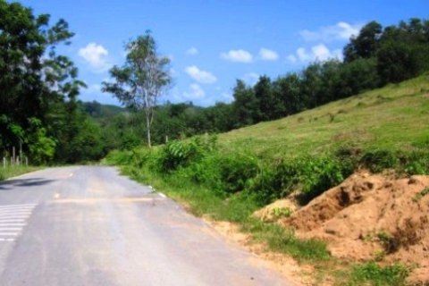 Terrain à Mai Khao, Thaïlande 9988 m2 № 191254