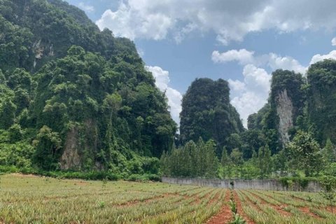 Land in Krabi, Thailand № 134633 - photo 1