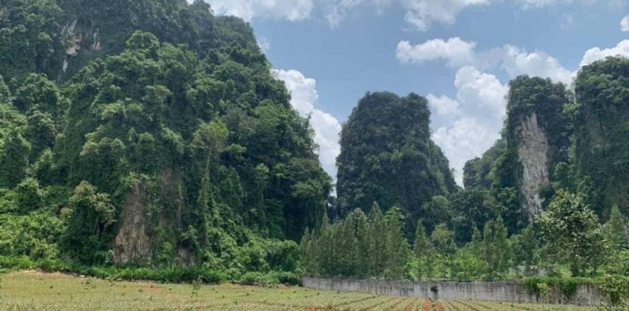 Land in Krabi, Thailand № 134633