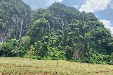 Land in Krabi, Thailand № 134633 - photo 3