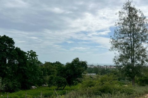 Земельный участок в Хуа Хине, Таиланд  № 134628 - фото 10