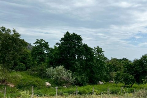 Земельный участок в Хуа Хине, Таиланд  № 134628 - фото 9