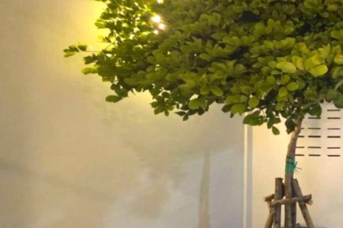 Дом в Лат Пхрау, Бангкок, Таиланд с 3 спальнями № 157134 - фото 13