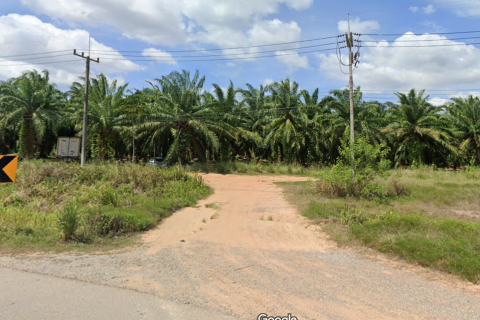 Terrain à Chumphon, Thaïlande 24000 m2 № 157133 - photo 2