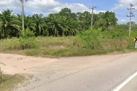 Terrain à Chumphon, Thaïlande 24000 m2 № 157133 - photo 5