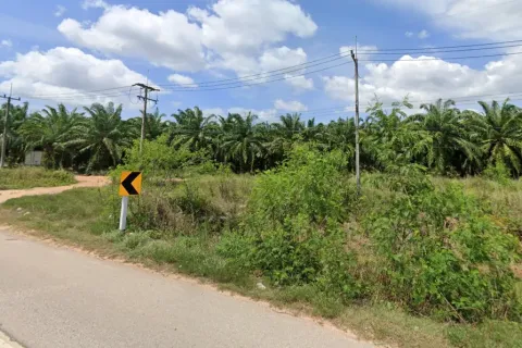 Terrain à Chumphon, Thaïlande 24000 m2 № 157133 - photo 4