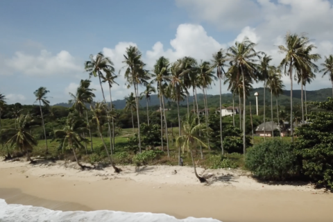 Terrain à Ko Lanta Yai, Thaïlande 4900 m2 № 142031 - photo 3