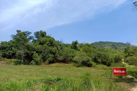 Земельный участок в Пхукете, Таиланд 22400м2  № 147654 - фото 1