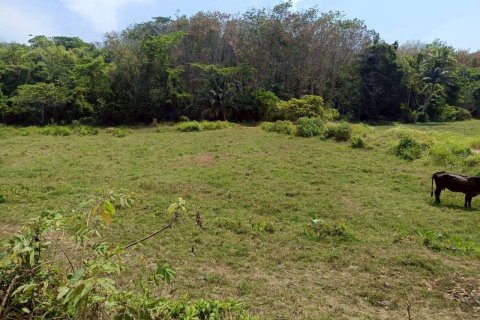 Земельный участок в Пхукете, Таиланд 22400м2  № 147654 - фото 5