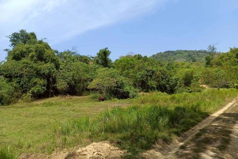 Земельный участок в Пхукете, Таиланд 22400м2  № 147654 - фото 7